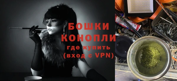молекула духа Богородск