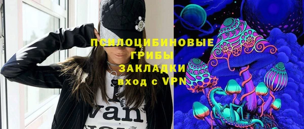 молекула духа Богородск