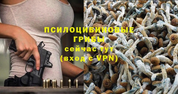 ALPHA PVP Армянск