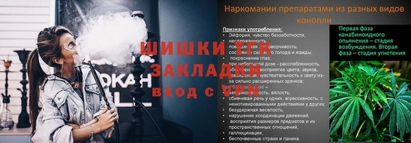 крисы Белокуриха
